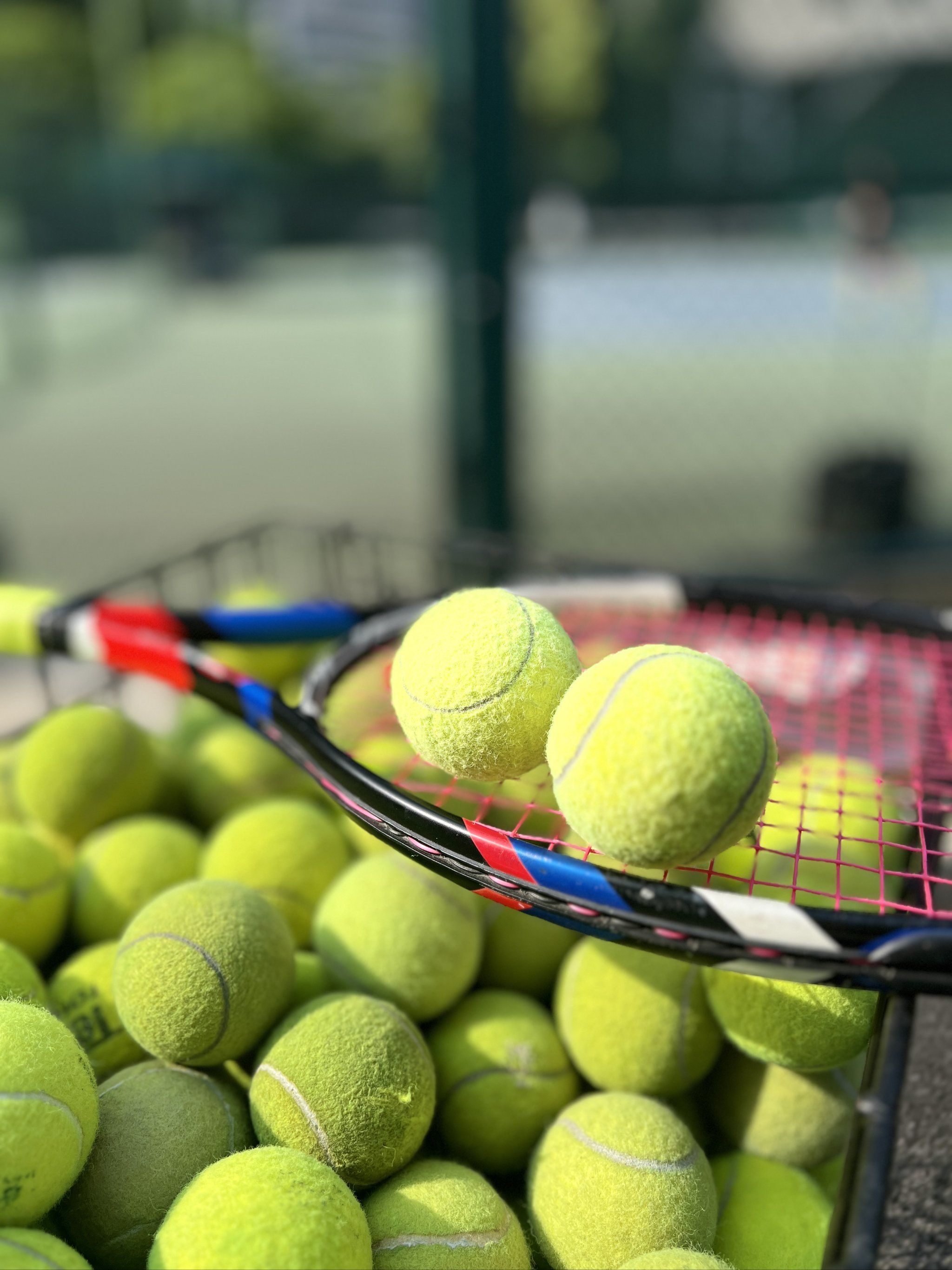 两位国内篮 两位国内篮