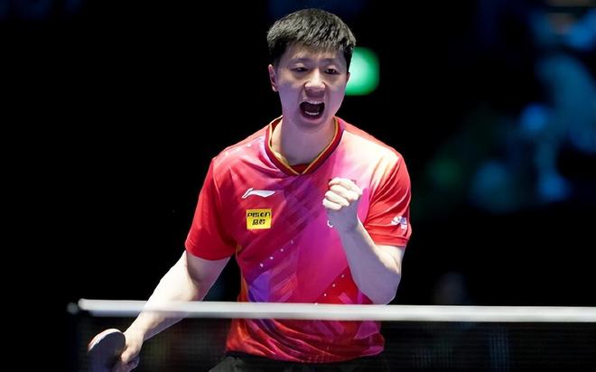 供了坚实的 供了坚实的